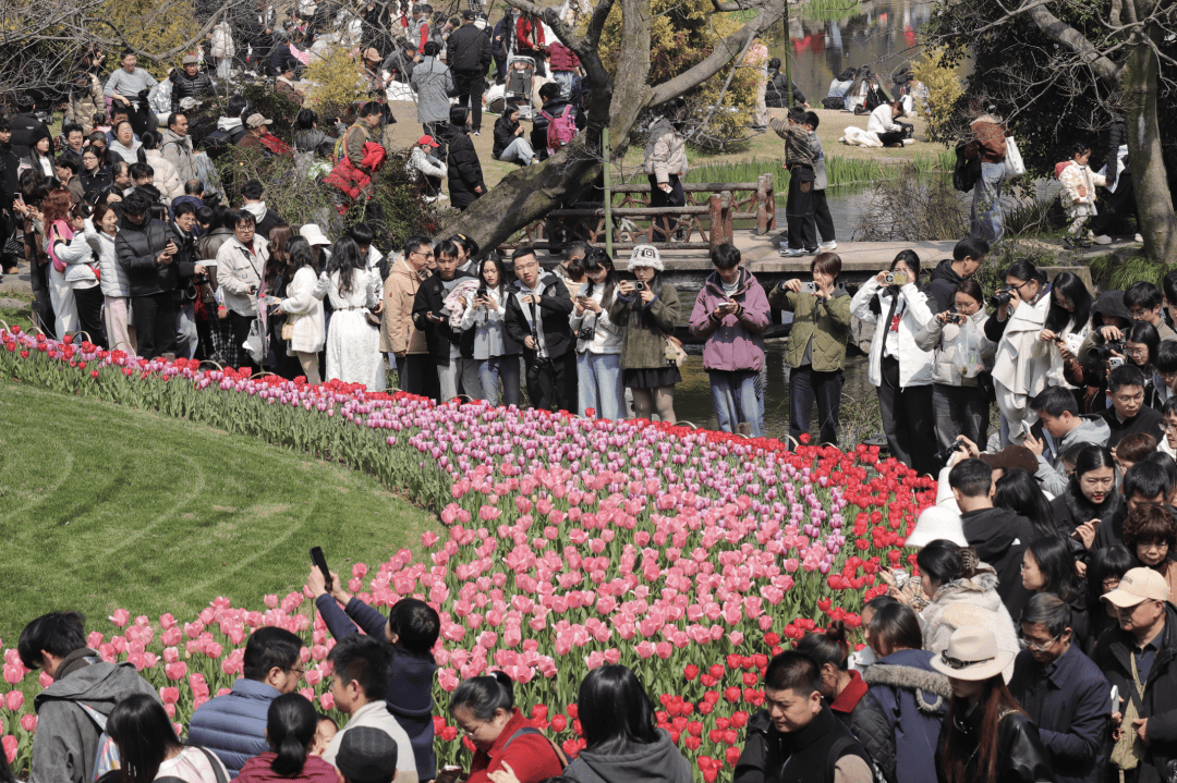飙到20℃！杭州人注意，大反转来了！时间已确定......:南京黑曼巴艺术设计有限公司好不好